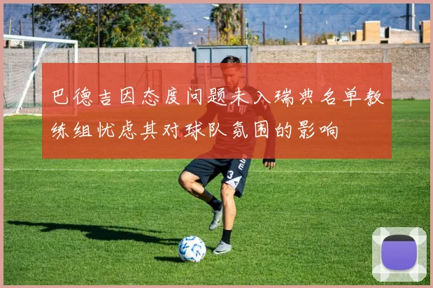 巴德吉因态度问题未入瑞典名单教练组忧虑其对球队氛围的影响
