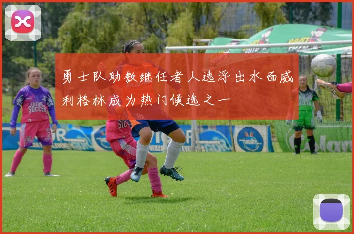 勇士队助教继任者人选浮出水面威利格林成为热门候选之一